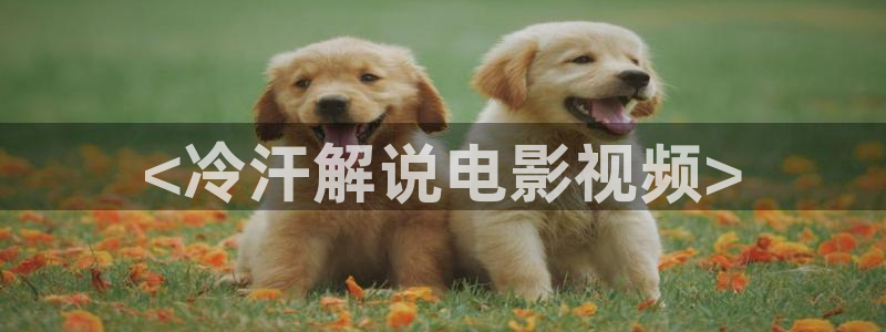 yy6080新视觉影院在线观看