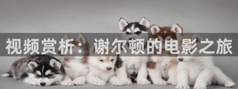 6008新视觉