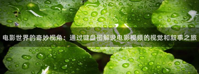 6080新视觉影院_6080yy电影在线看