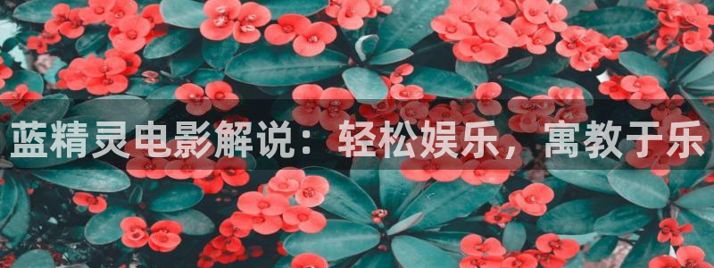 6080新视觉影院观看