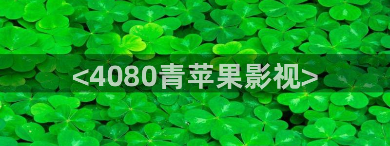 新视觉网络科技有限公司