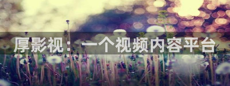 新视觉6080三级