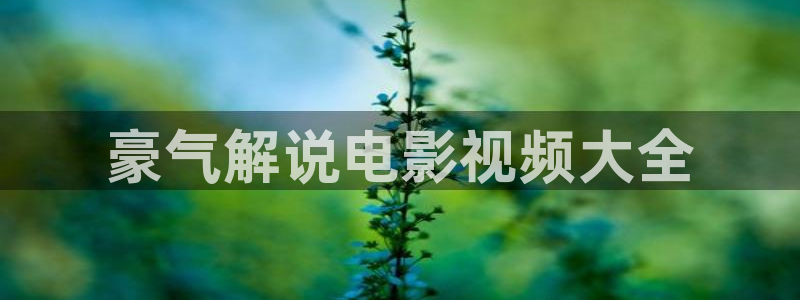 新视觉影视剧推荐6080观看