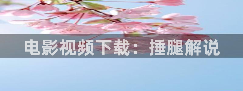新视觉影院鸭王：电影视频下载：捶腿解说