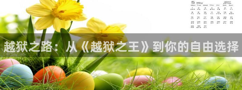 yy4480万利达影院新视觉：越狱之路：从《越狱之王》到你的自由选择