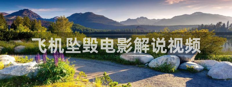 6080新视觉电影理论