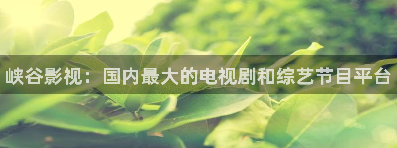 yy新视觉电影电视剧在线观看：峡谷影视：国内最大的电视剧和综艺节目平台