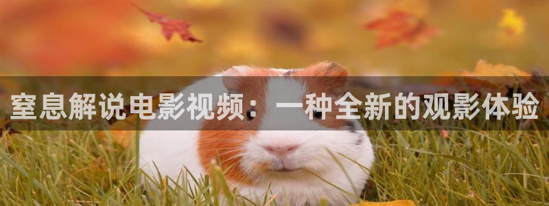 新视觉电影网在线观看：窒息解说电影视频：一种全新的观影体验