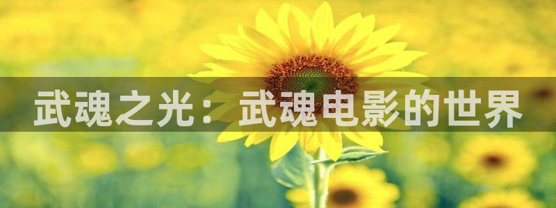 yy6029新视觉