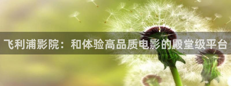 8060yy新视觉：飞利浦影院：和体验高品质电影的殿堂级平台