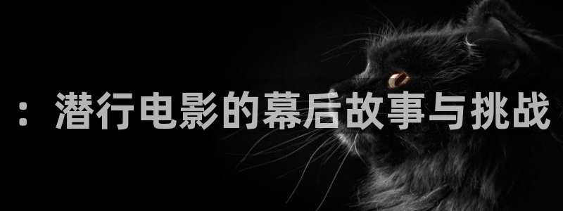 新视觉影视官网：：潜行电影的幕后故事与挑战