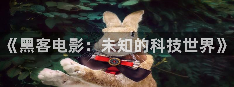 yy6080新视觉在线：《黑客电影：未知的科技世界》